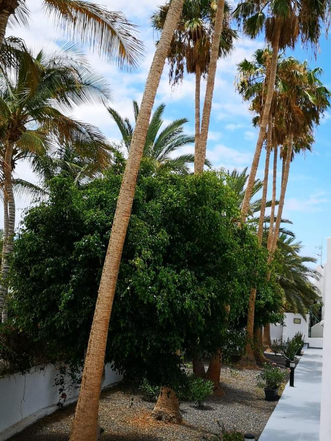 Estrella De Mar Apartment Tarajalejo Bagian luar foto